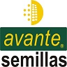 logo Avante